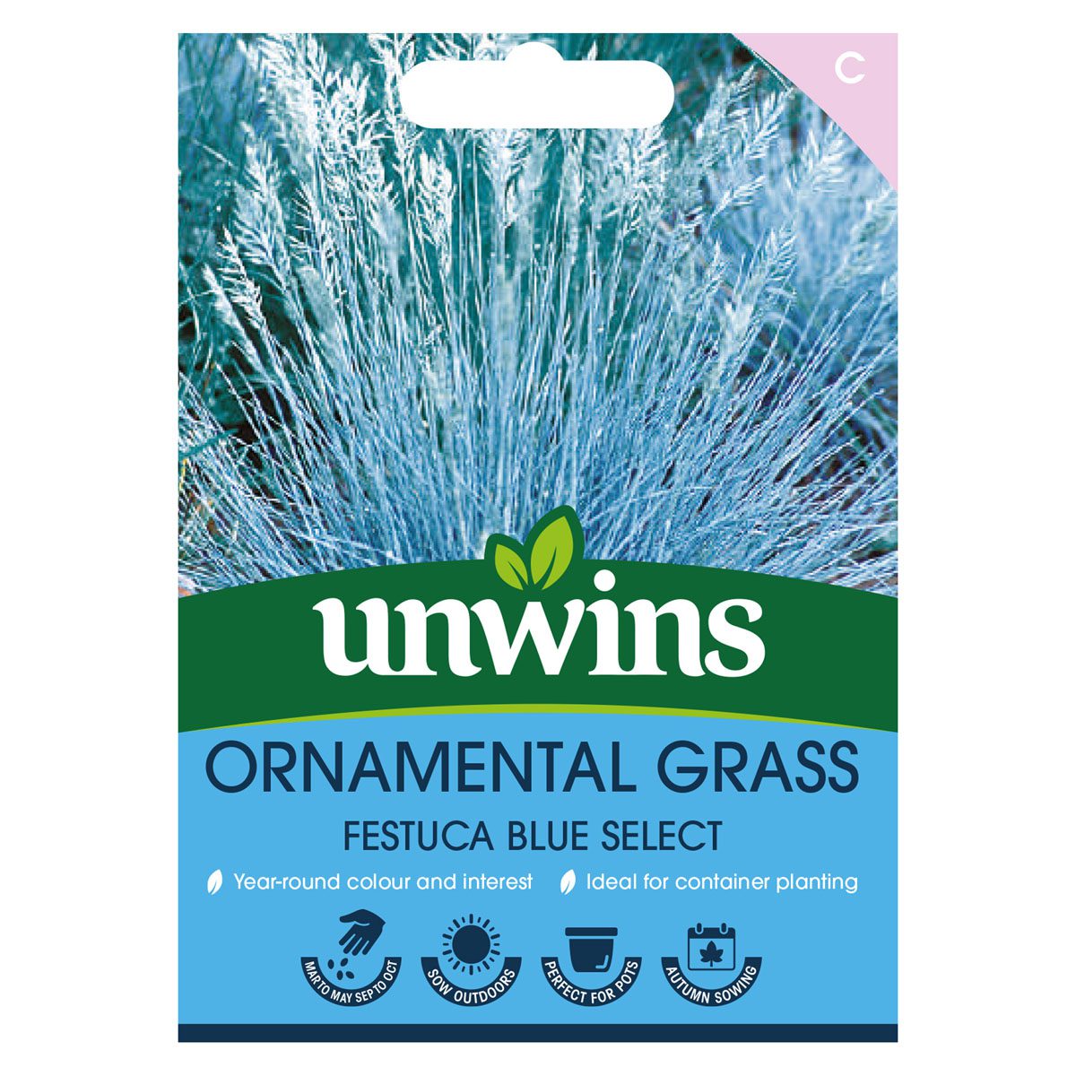 5051618035132 1 Ornamental Grass Festuca Blue Select Seeds.jpg